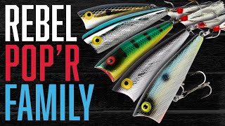 Rebel Pop R: All 6 Models Compared (Which Is Best For You?)