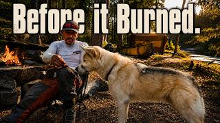 6 Day Camp in the Quetico with my Dog: Fish, Bugs and Bonding