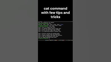 Master the cat Command in 1 Minute!