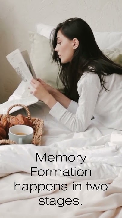 What are the two stages of memory formation? - YouTube