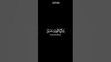 ان الله وملائكته يصلون على النبي | كرومات شاشة سوداء القران الكريم | القارئ علي جابر