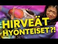 HIRVEÄT HYÖNTEISET!! – MIKSI ÖTÖKÄT INHOTTAA?!