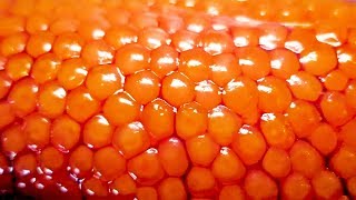 Salmon caviar - Japanese Street Food