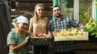 КУПИЛ 2 ДОМА В ДЕРЕВНЕ | ПОМОГЛИ БАБУШКЕ СОБРАТЬ ЯБЛОКИ | ДЕРЕВЕНСКАЯ ЯРМАРКА