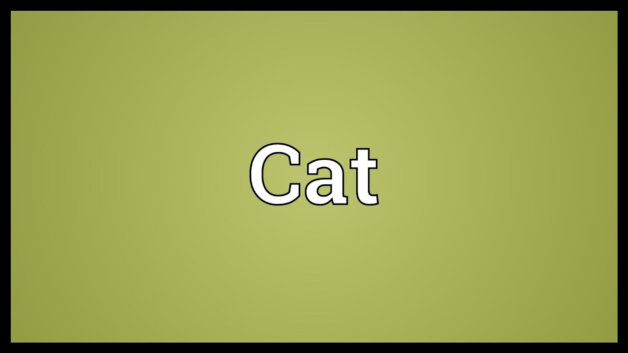 Cat Meaning Chart