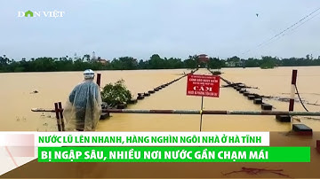 Nước lũ lên nhanh, hàng nghìn ngôi nhà ở Hà Tĩnh bị ngập sâu, nhiều nơi nước gần chạm mái