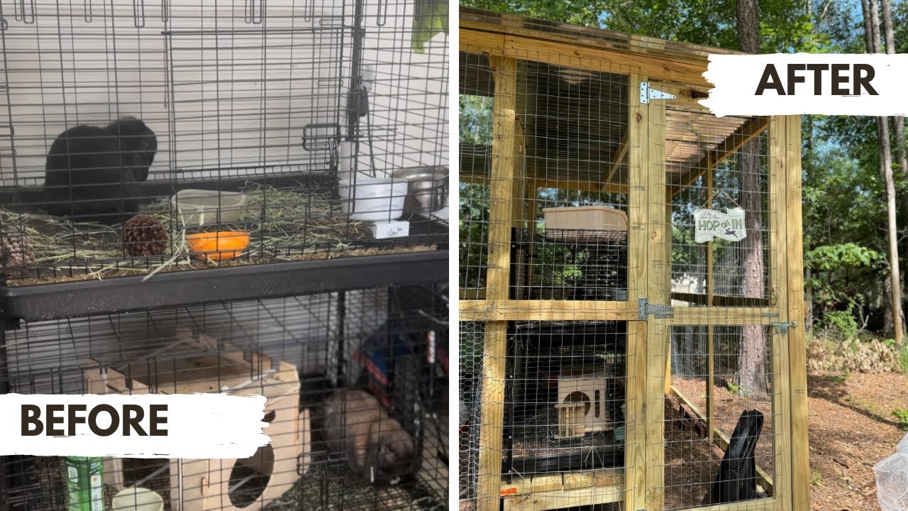 We built a RABBIT MANSION!!! - YouTube
