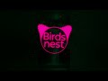 Birds nest