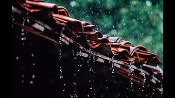 Thư giãn với tiếng mưa và tiếng sấm dễ ngủ