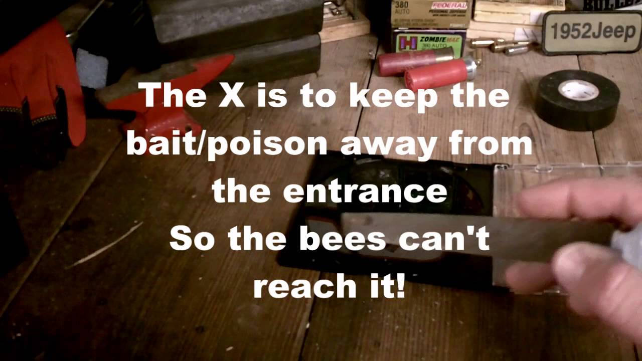 Small Hive Beetle Trap & Bait YouTube