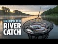 I will be fishing net in river #fishing #net #video #fyp