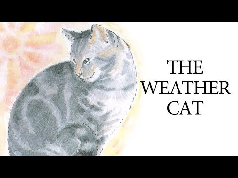 the-weather-cat