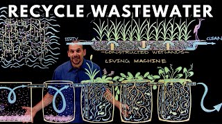 How to Recycle Waste Water Using Plants