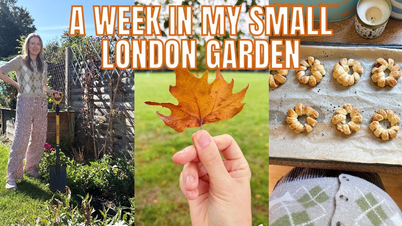 ОЧЕНЬ ОСЕННЯЯ НЕДЕЛЯ / ПОСЕЩАЕМ КОТСУОЛДС И ГОТОВИМ СУП!