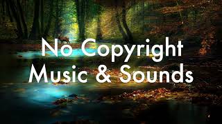 No Copyright Music & Sounds 12 -- SOFT AMBIENT BACKGROUND MUSIC I RELAXING MUSIC I STUDY MUSIC screenshot 3