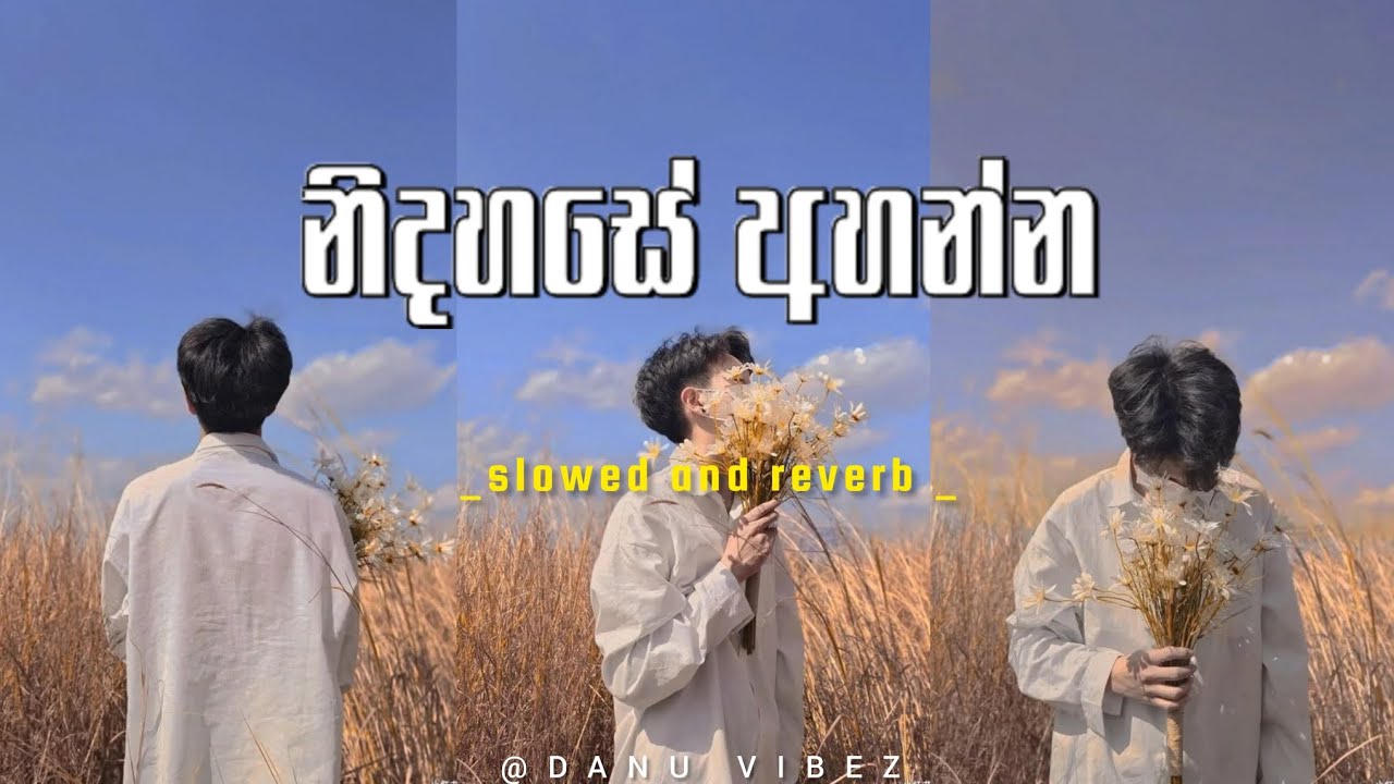 මනෝපාරකට සින්දු (slowed + reverb) | manoparakata sinhala songs collection | best new sinhala ‎‪songs