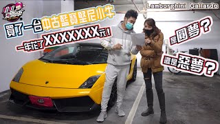 買了一台中古藍寶堅尼小牛是圓夢還是惡夢Lamborghini Gallardo