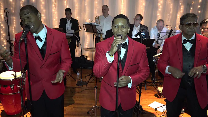 Orch. Menu Live at Club Cubano - Cali Pachanguero
