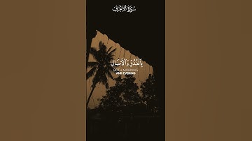 أكتب شيء تؤجر عليه 🤍🌹القارئ#عبدالرحمن_مسعد