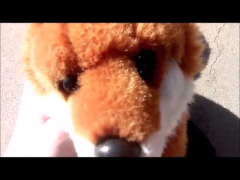 Riptide Webkinz Music Video