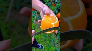 Fresh fruit preparation using a knife to remove the thick white pith from a ripe orange