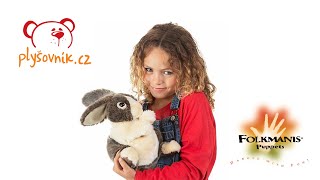 Holandský zakrslý králík na videu