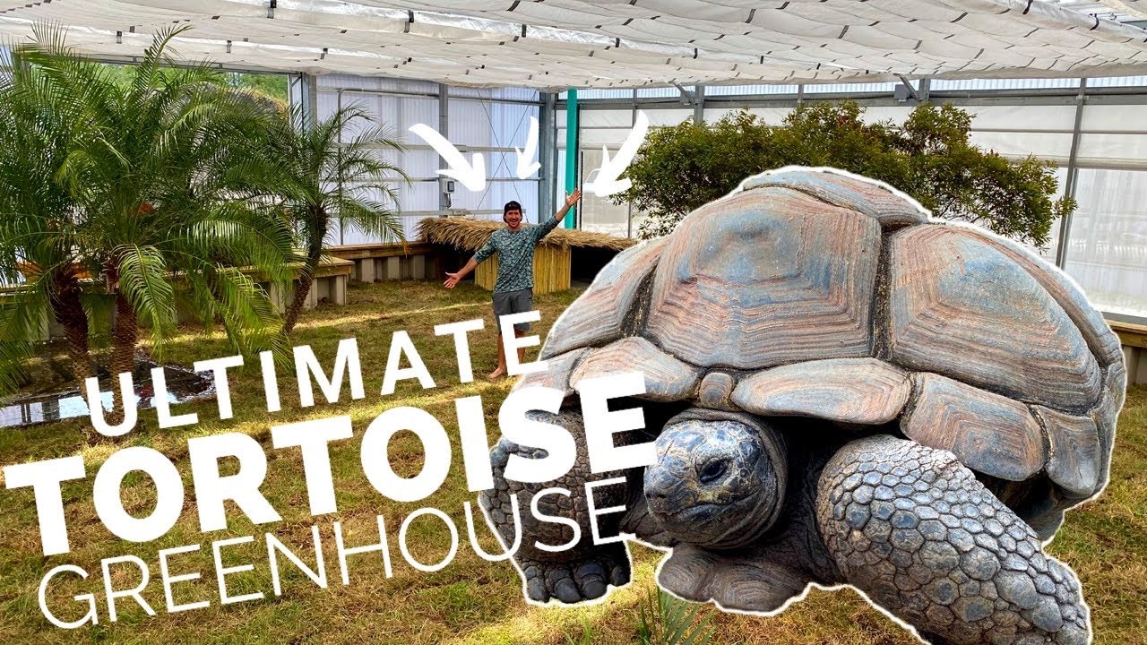 Final Update On Giant Tortoise Greenhouse!!