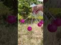 LATO LATO Challenge Double Edition 🤣 #shorts #youtubeshorts