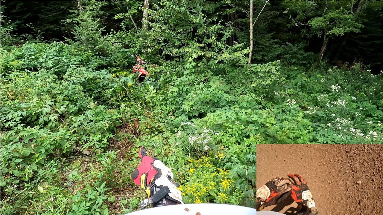 Flying into the trees and slamming into the dirt at MT Thom MX! YouTube