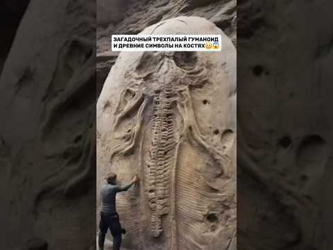 Доказательства существования древних гуманоидов