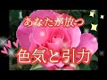 《色気💖》あなたが自然と放っている色気と引力、知らないなんて罪ですよ✨ rose🌹のチャネリングルーム