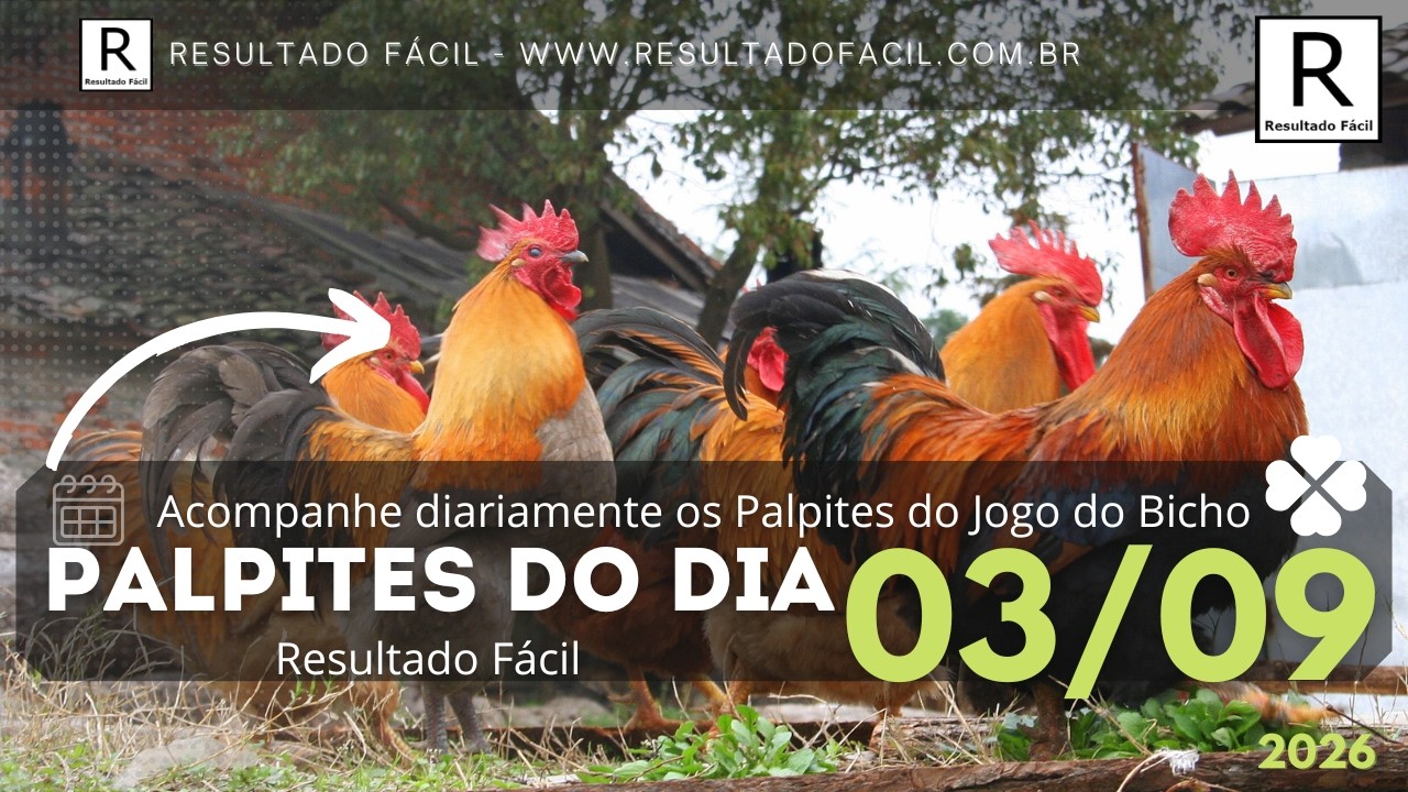 Palpites do dia Jogo do Bicho para o dia 03/09/2026