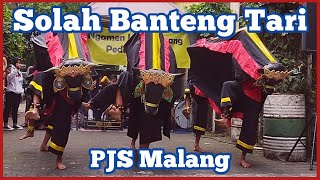 Solah Banteng Tari PJS / 16 Jan 2022 / Landungsari #bantengtari #putrojoyosenggoro #solahbantengan