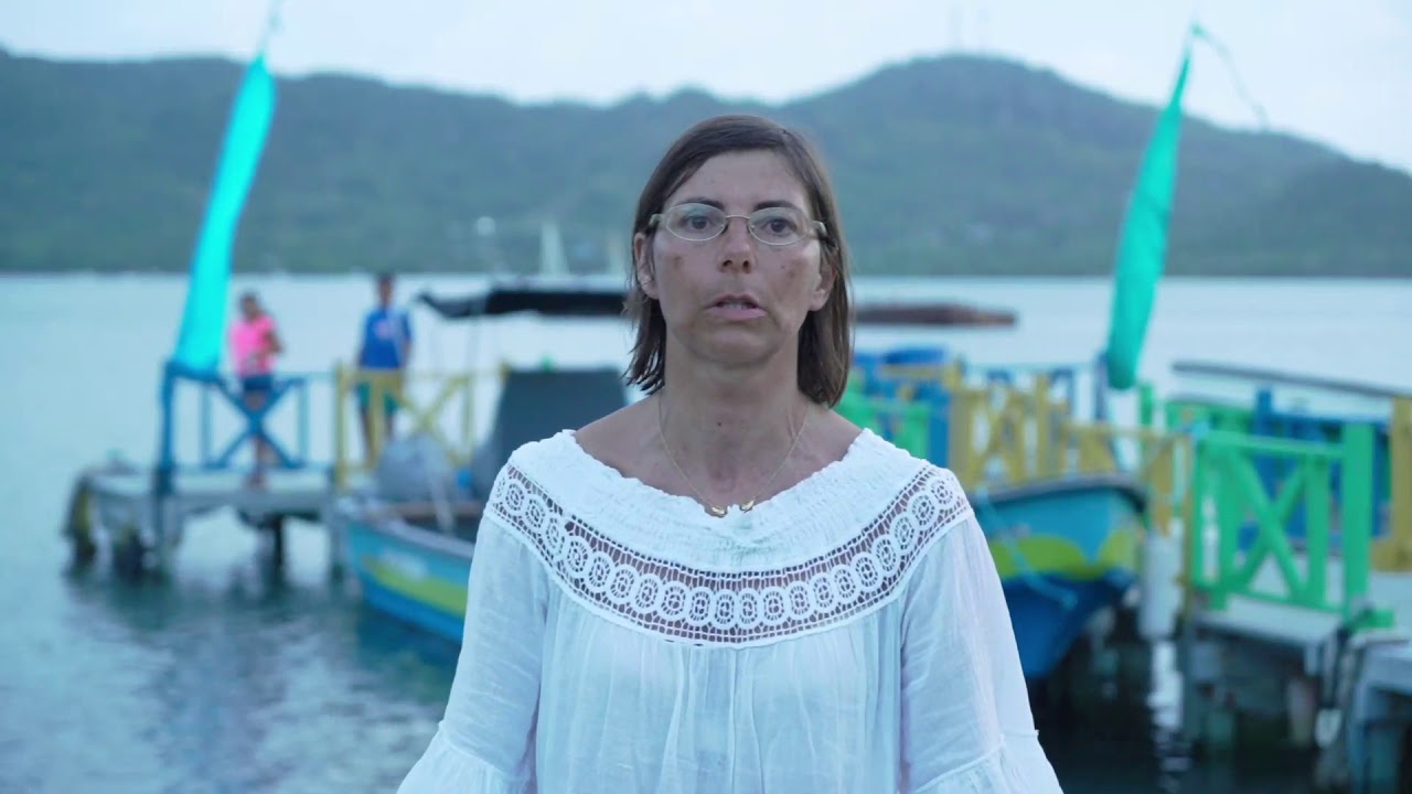 Valoración de Servicios Ecosistémicos y Diversidad Biológica de los Arrecifes.