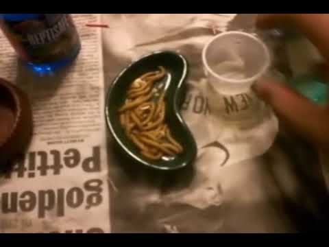 dirty deeds done dirt cheap Very Dirty Leopard Gecko #2