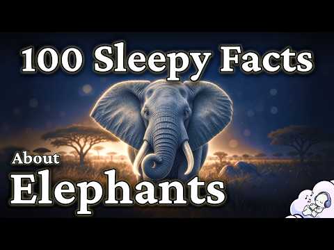Elephants: The Gentle Science of Earth’s Largest Land Animal