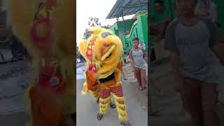 Angklung New Pandawa Versi Buih Jadi Permadani