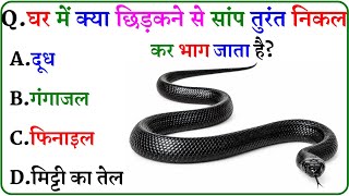 GK Question || GK In Hindi || GK Question and Answer || GK Quiz || screenshot 5