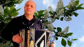 ♫ Похолодало ♫ Душевная песня под гармонь╰❥ Unter Akkordeon Lieder der Liebe! Играй гармонь любимая ♫ Похолодало ♫ Душевная песня под гармонь╰❥ Unter Akkordeon Lieder der Liebe! Играй гармонь любимая