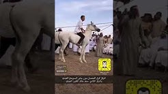 ياسعود حنا مانحسب المخاسير