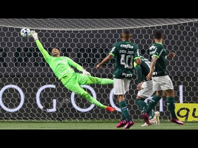 TODOS OS PÊNALTIS DEFENDIDOS PELO WEVERTON NO PALMEIRAS! 