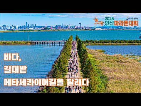 안산마라톤대회 대회 영상