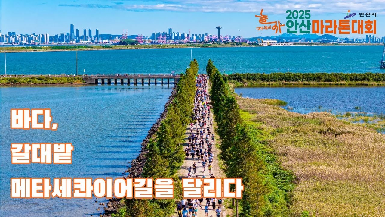 안산마라톤대회