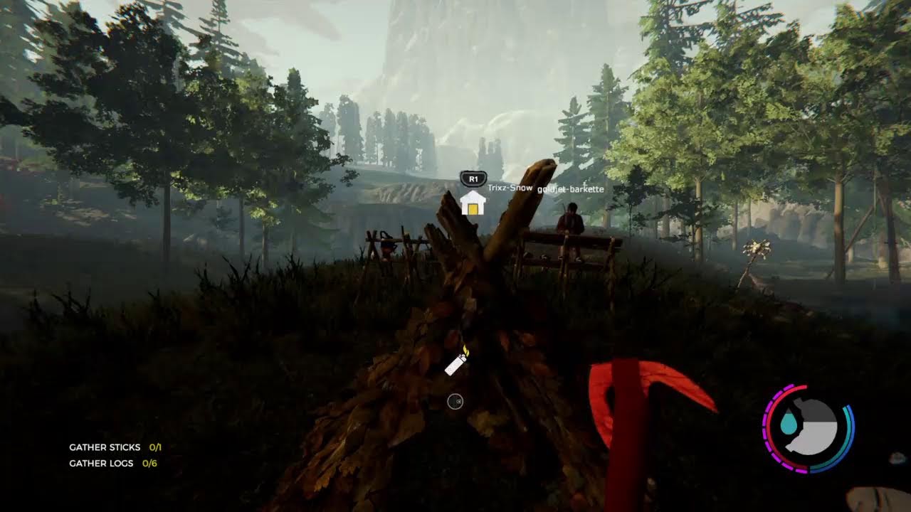 The Forest PS4 GLITCHES