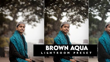 Lightroom Brawn Aqua Lightroom DNG Preset Lightroom Photo editing Tutorial #emoneditz