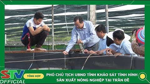 STV - Nông nghiệp Sóc Trăng tiếp tục phát huy vai trò trụ đỡ