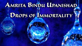 Amrita Bindu Upanishad (6 of 6) Taught by Swami Tadatmananda