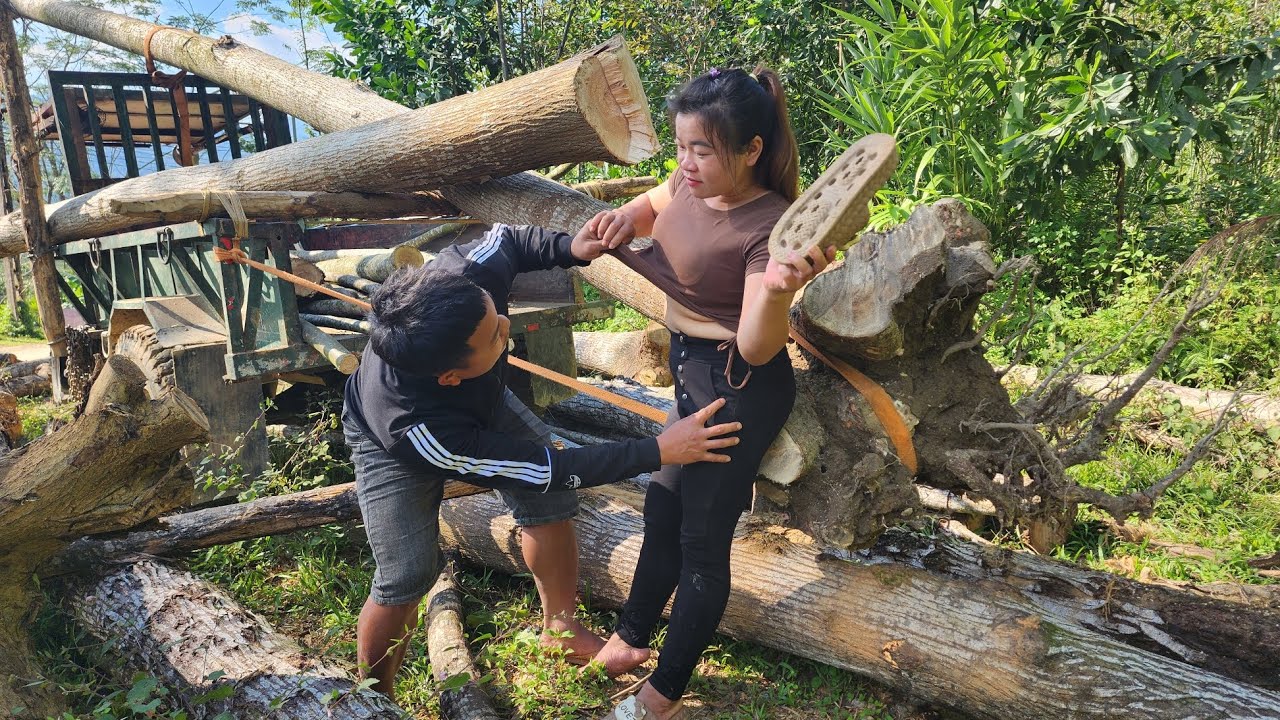 Agricultural vehicles transport timber, continue to purchase and transport large timber trees