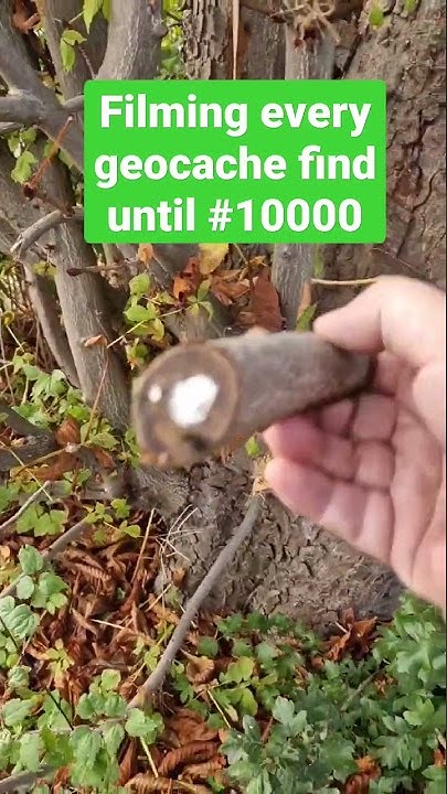 Every geocaching find until #10000 - #8 / #shorts - YouTube