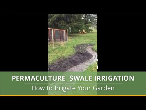 Видео: Garden Swales - Советы по созданию Swale в вашем саду